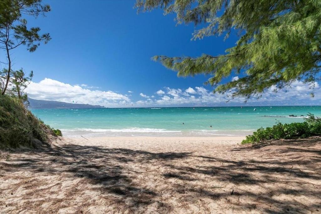 Unit 12 Maui Ohana Modern Studio Wailuku المظهر الخارجي الصورة
